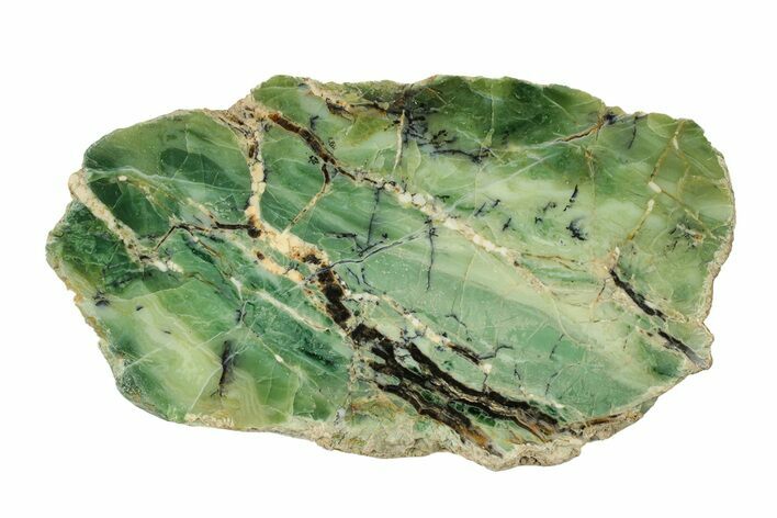 Polished Green-White Opal Slab - Western Australia #280151